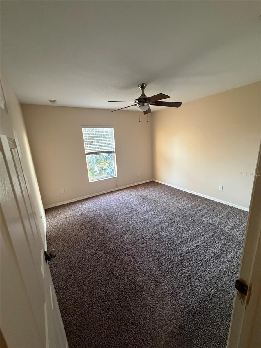 6224 ZANE DR, MOUNT DORA, FL, 32757