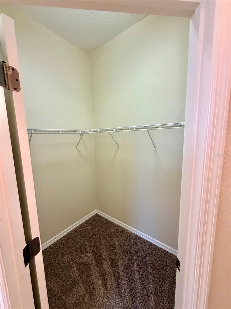 6224 ZANE DR, MOUNT DORA, FL, 32757