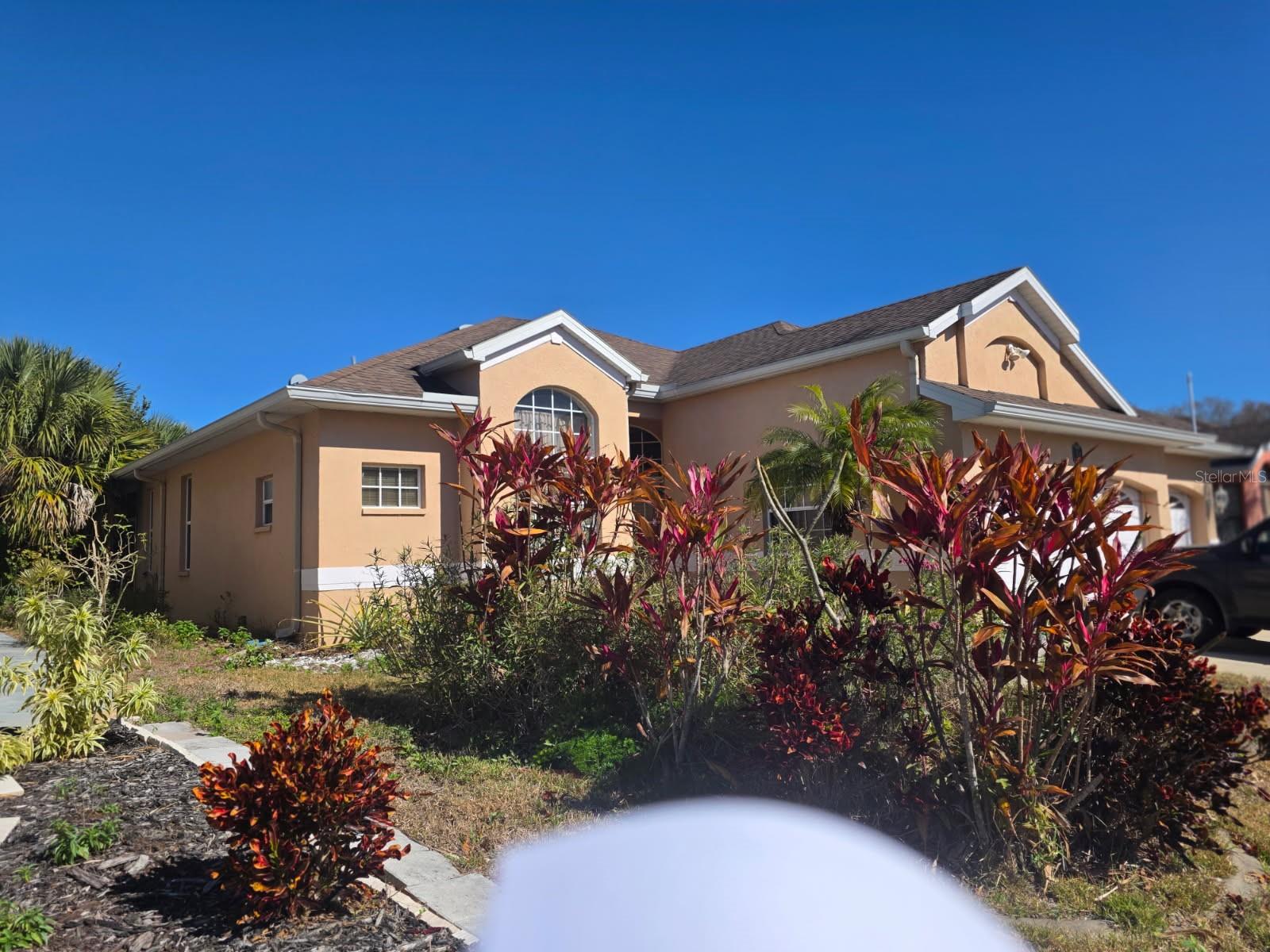 324 WOOD DOVE AVE, TARPON SPRINGS, FL, 34689