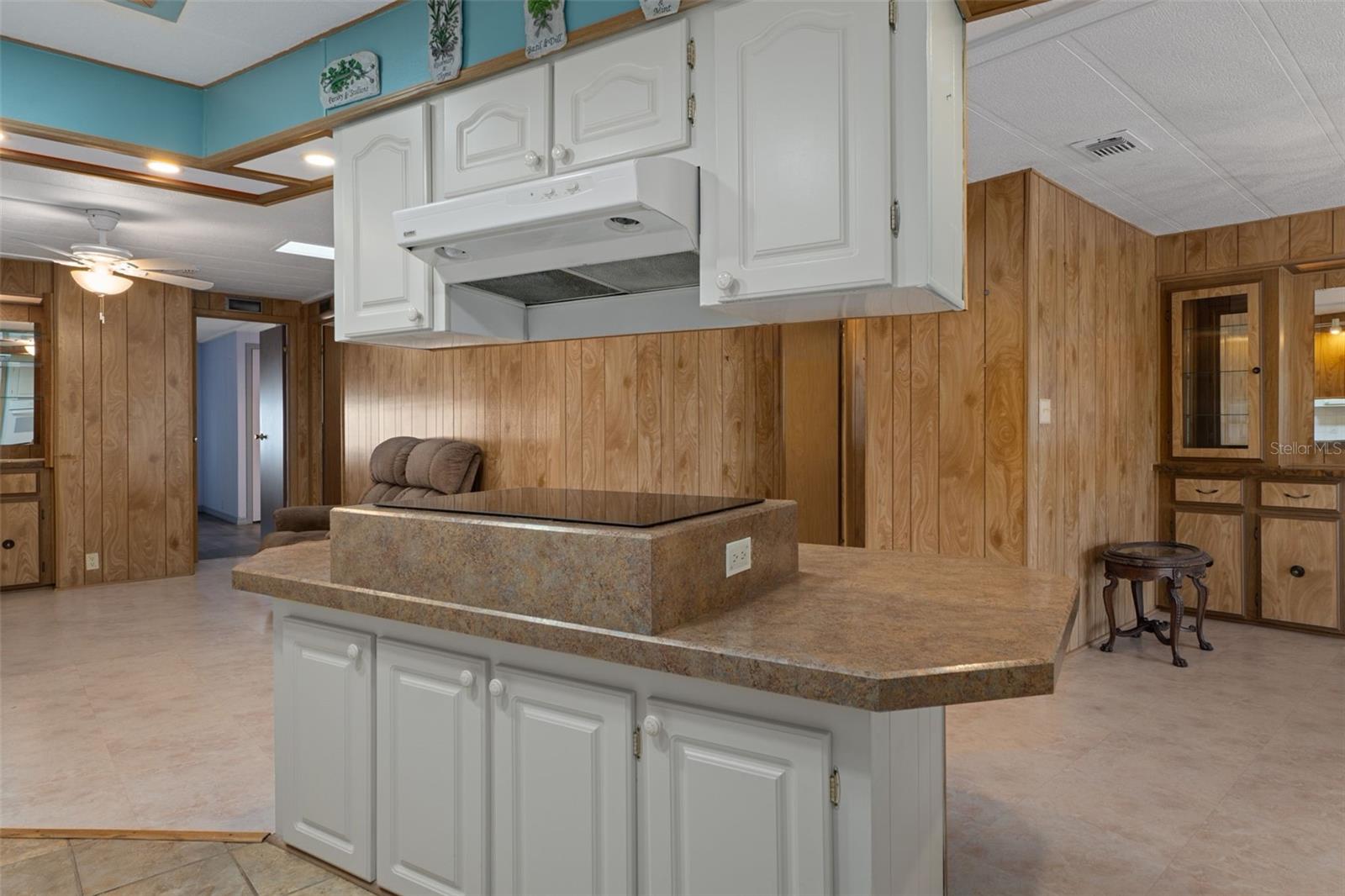 7472 MORIAH AVE, BROOKSVILLE, FL, 34613