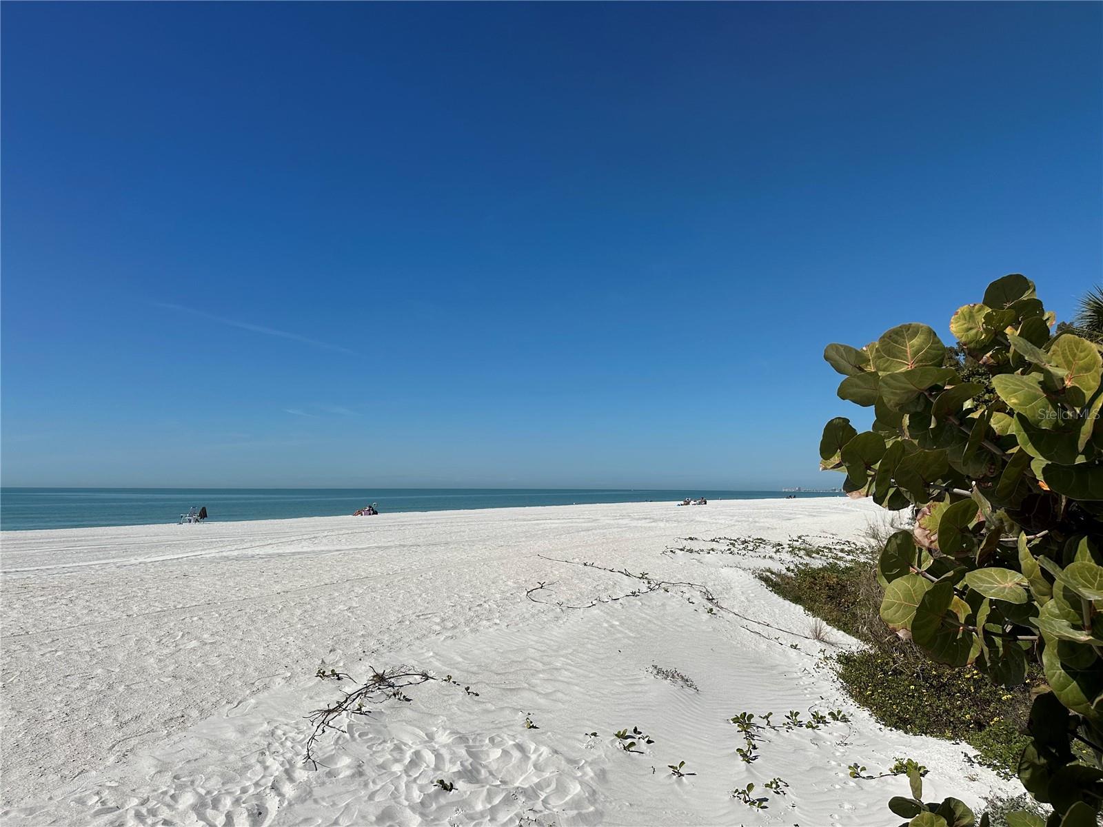 36 80TH TER, TREASURE ISLAND, FL, 33706