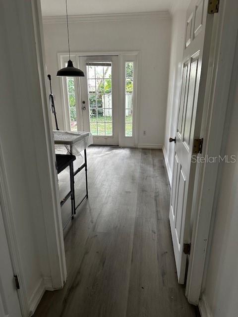 224 EMORY PL, ORLANDO, FL, 32804