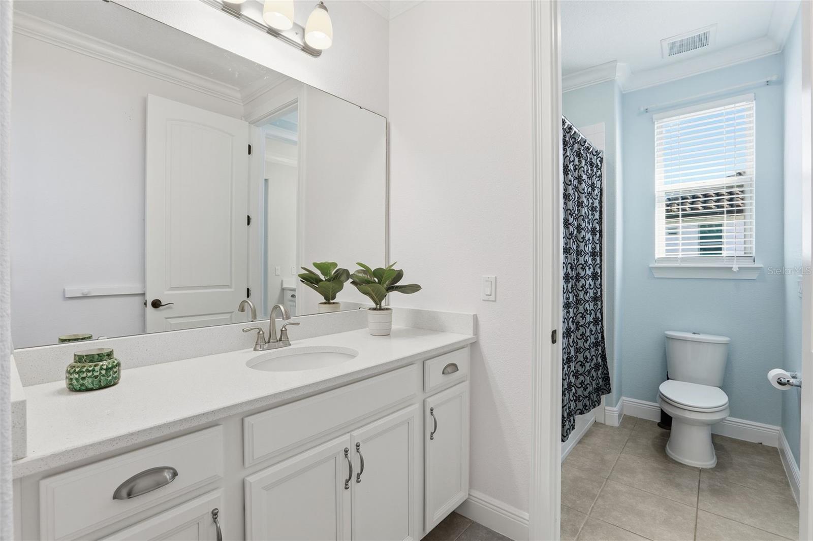 16641 BROADWATER AVE, WINTER GARDEN, FL, 34787