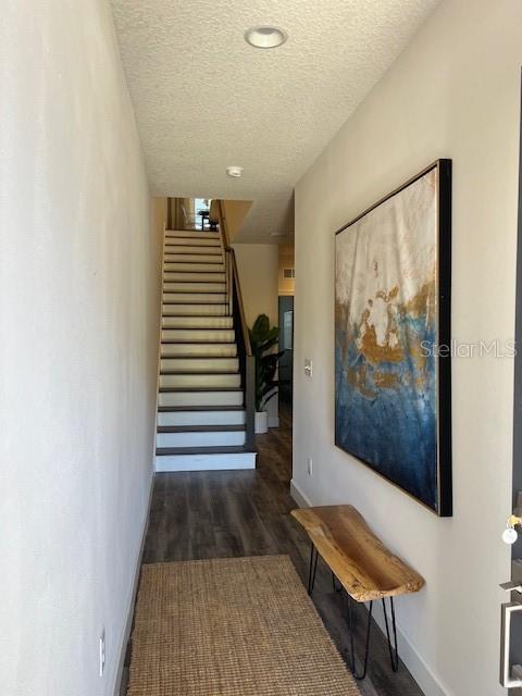 5739 DESERT ROSE PL, TAMPA, FL, 33615