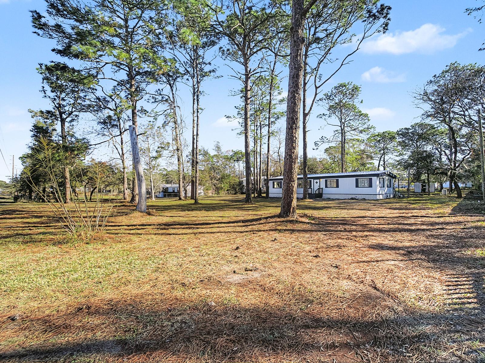 18024 DRAYTON ST, SPRING HILL, FL, 34610