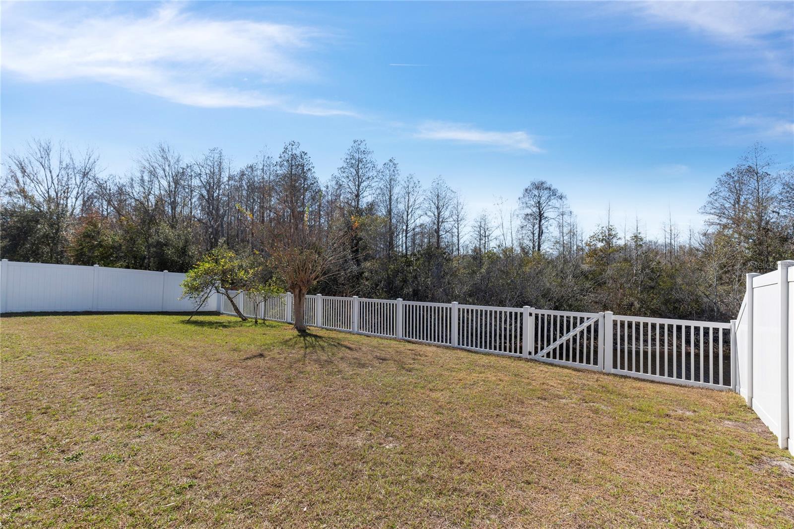 24331 CROSSCUT RD, LUTZ, FL, 33559