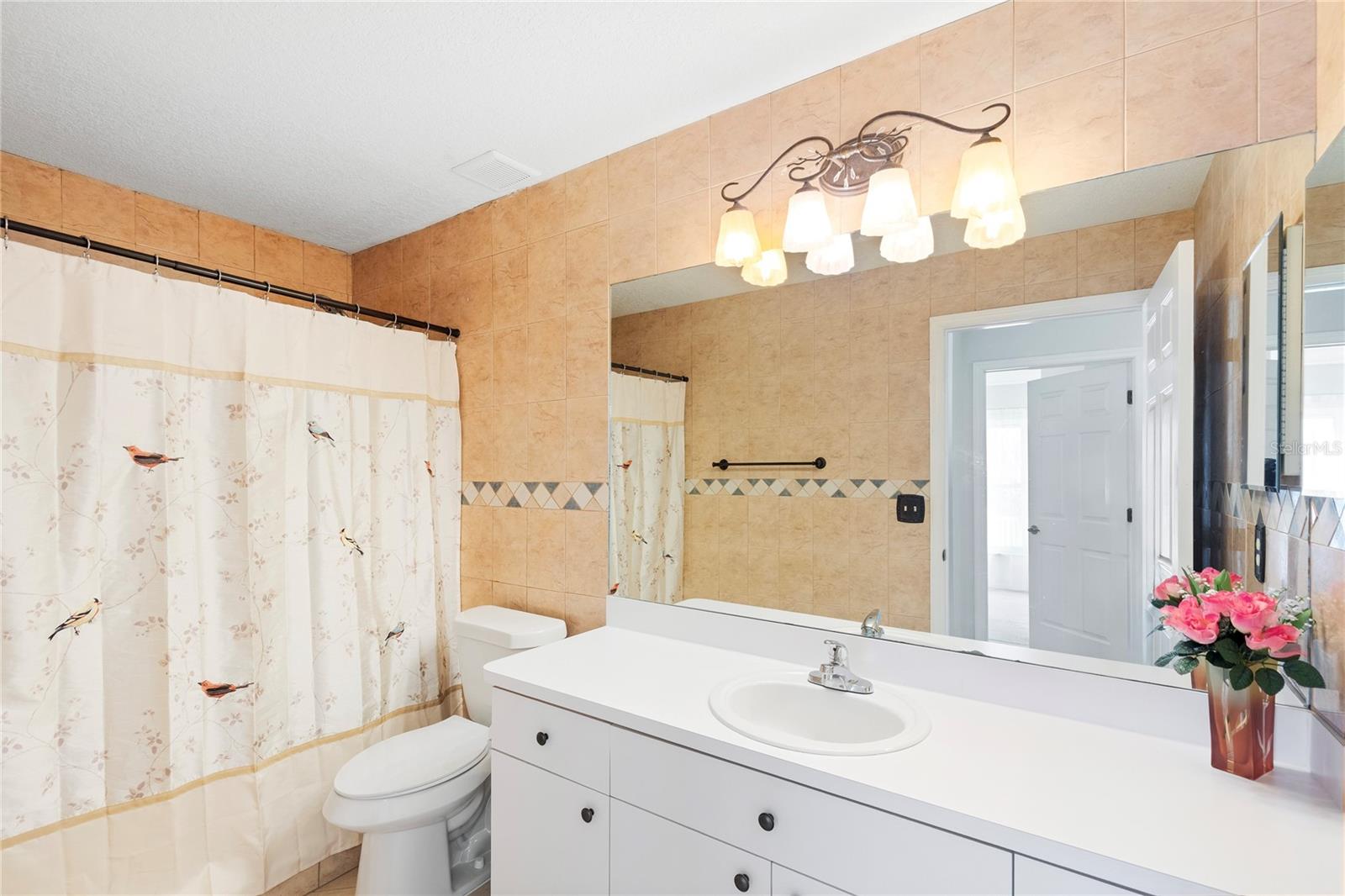 24331 CROSSCUT RD, LUTZ, FL, 33559