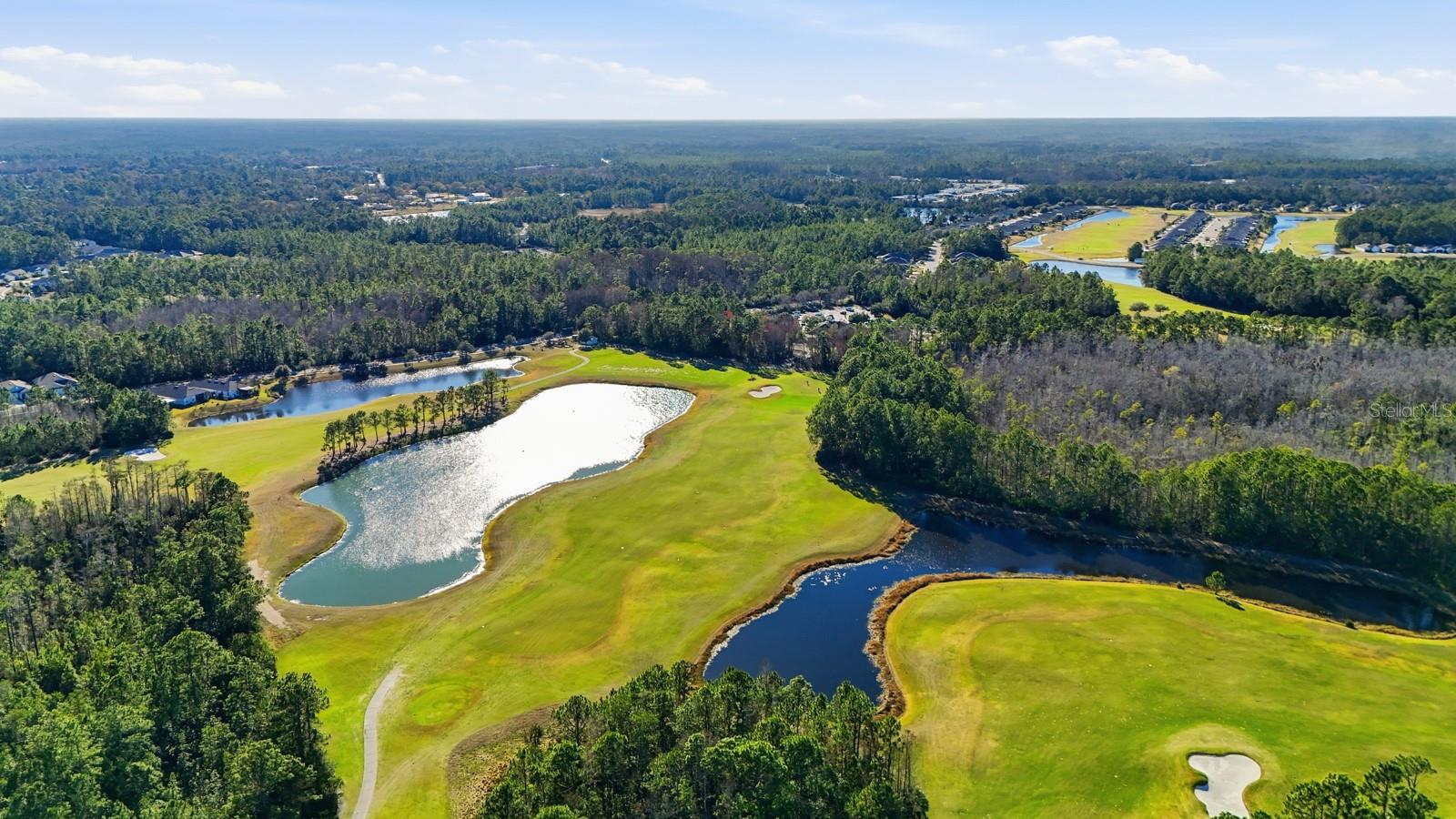 73 LOB WEDGE LN, BUNNELL, FL, 32110