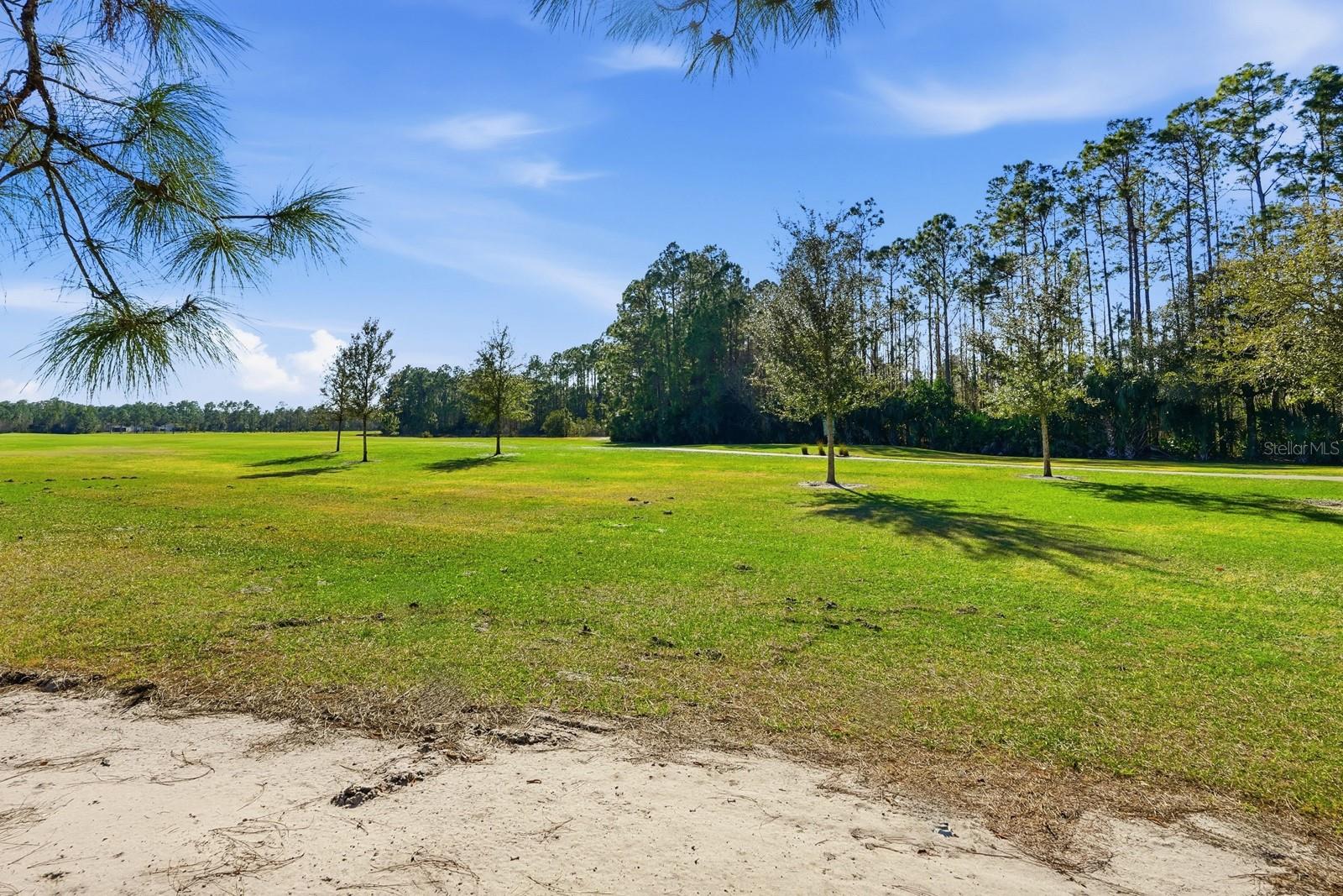 73 LOB WEDGE LN, BUNNELL, FL, 32110