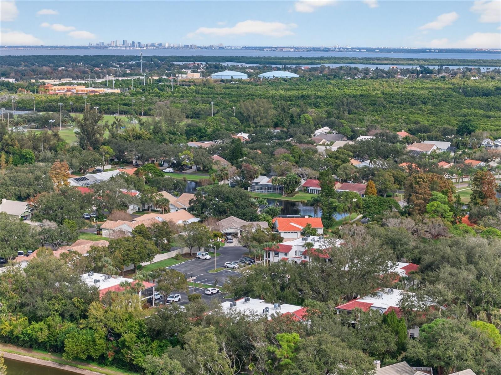 484 SANTA CRUZ PL NE #G, ST PETERSBURG, FL, 33703