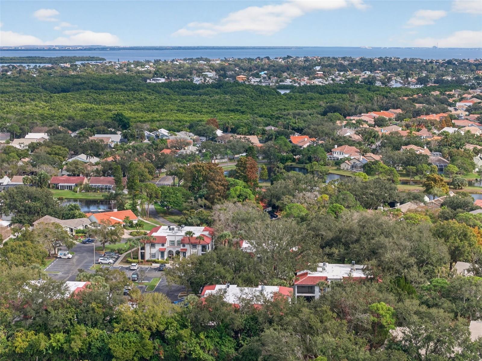 484 SANTA CRUZ PL NE #G, ST PETERSBURG, FL, 33703