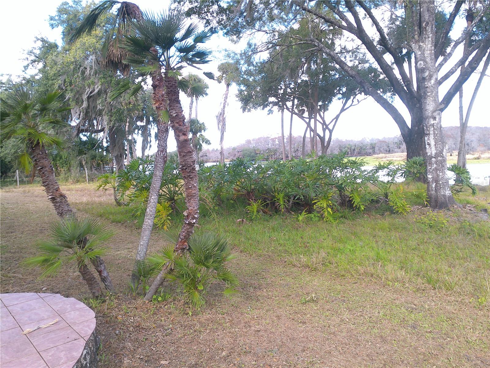 3821 E OSCEOLA RD, GENEVA, FL, 32732