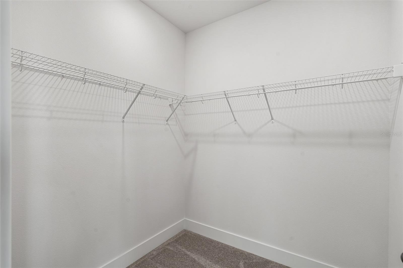 2438 MAGNOLIA RESERVE RD, OCOEE, FL, 34761