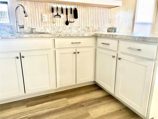 610 COTTAGE PARK LN, LEESBURG, FL, 34748