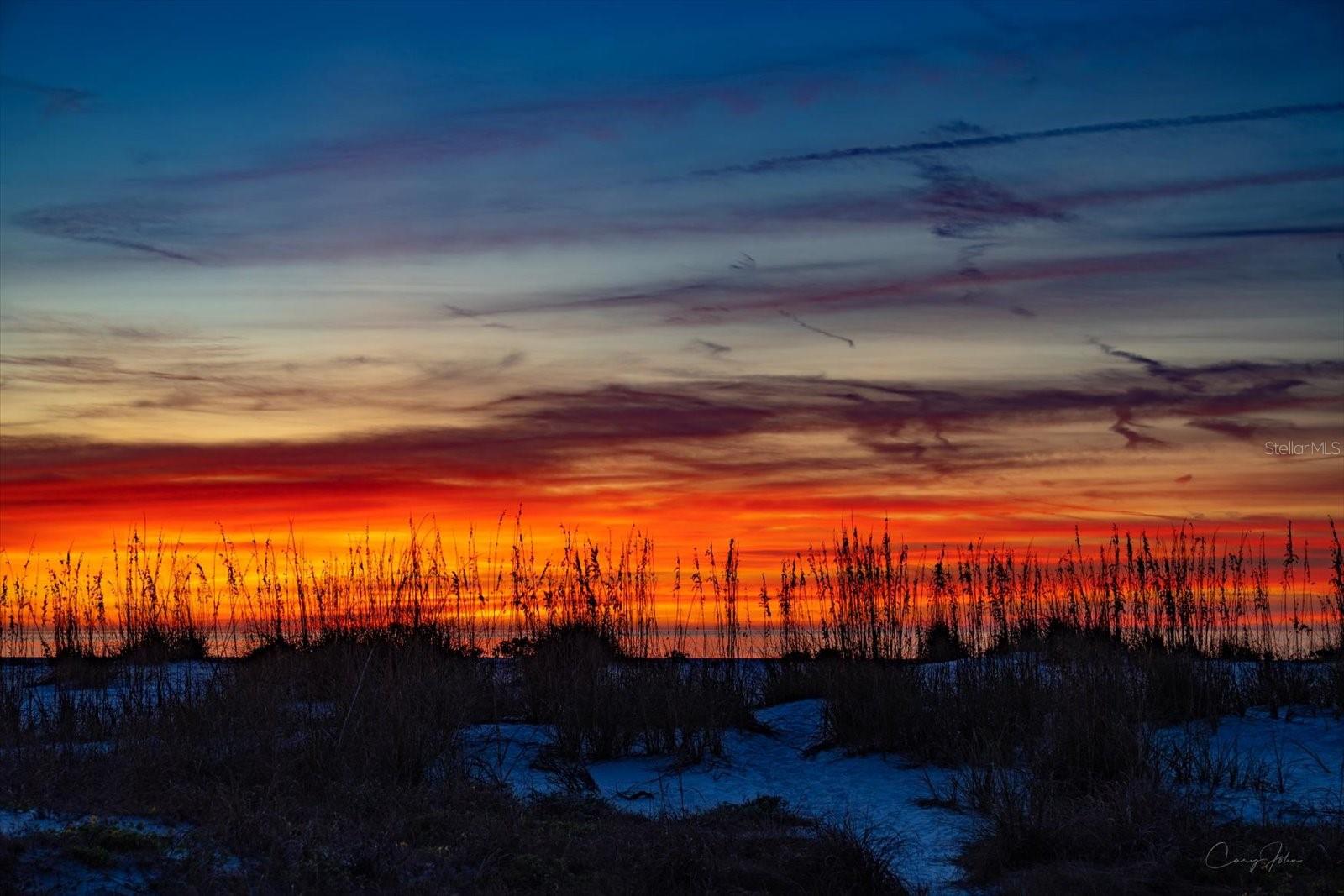 1040 ELDORADO AVE, CLEARWATER BEACH, FL, 33767