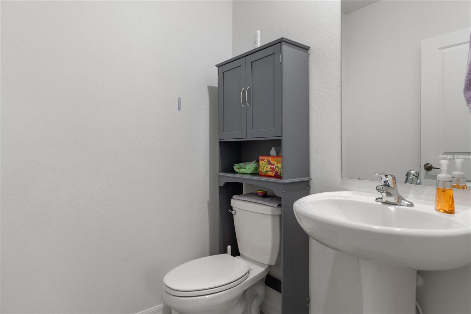 22169 CALISTO WAY, LAND O LAKES, FL, 34637