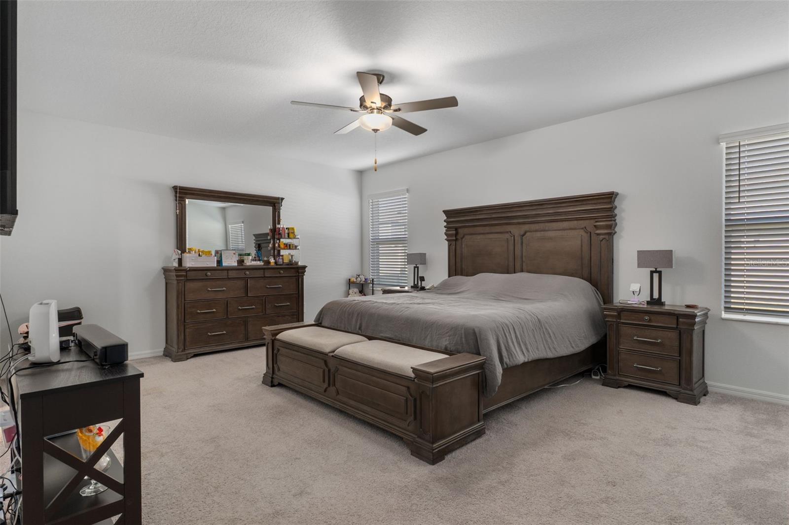 22169 CALISTO WAY, LAND O LAKES, FL, 34637