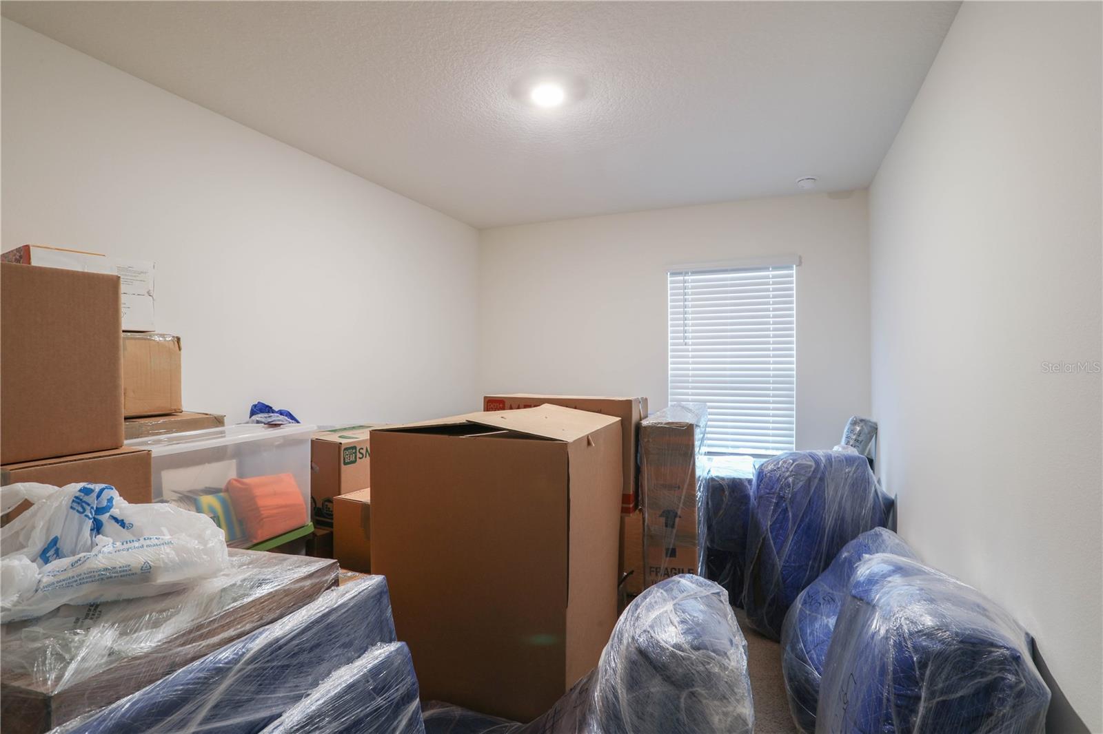 5242 SCRUB MINT LN, APOPKA, FL, 32712