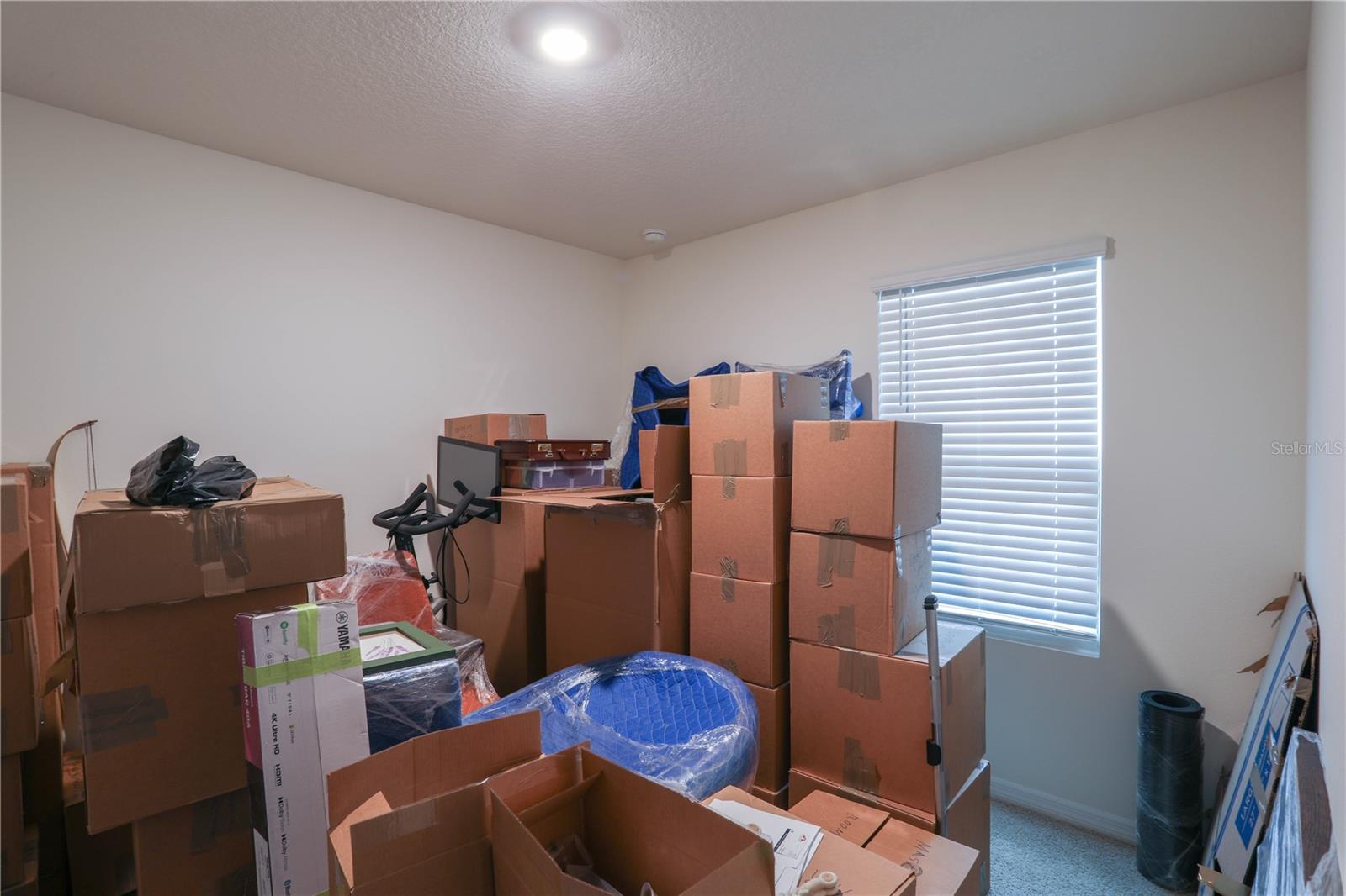 5242 SCRUB MINT LN, APOPKA, FL, 32712