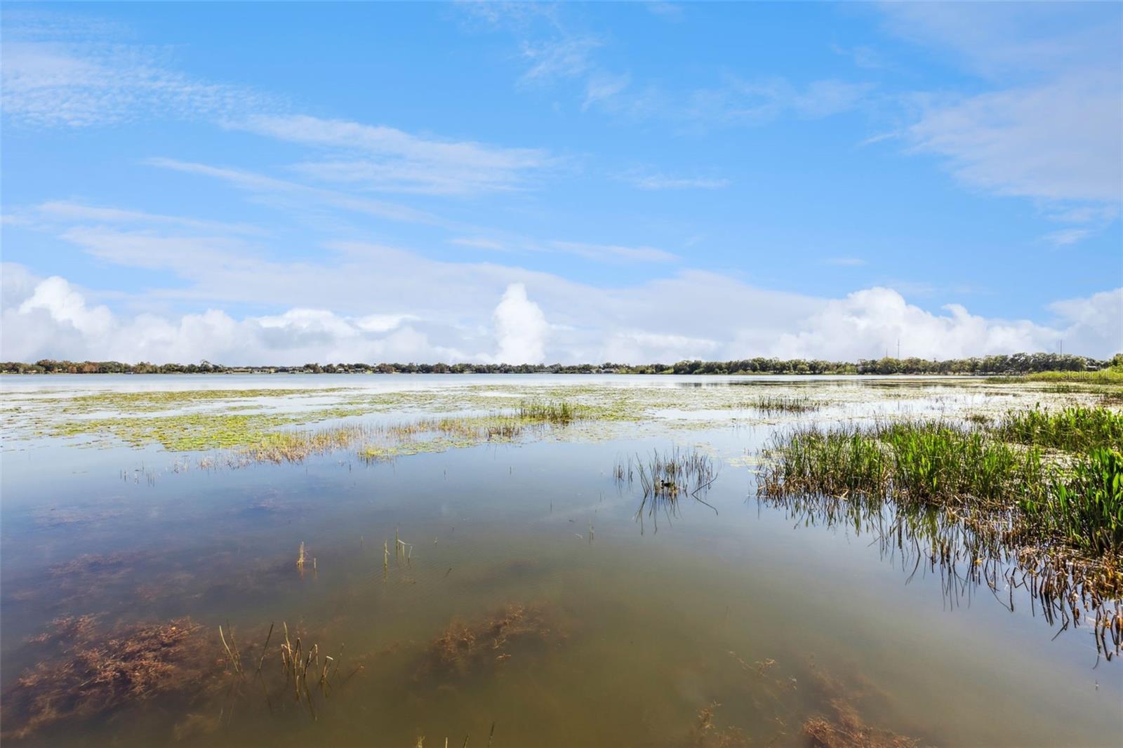 2410 HARTRIDGE POINT DR W, WINTER HAVEN, FL, 33881