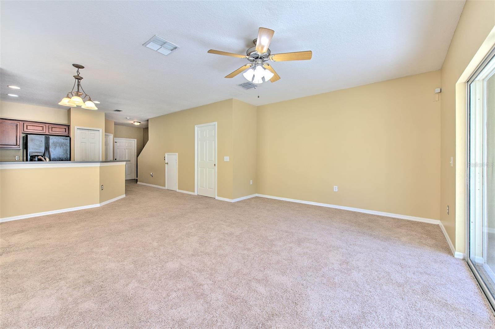 20424 NEEDLETREE DR, TAMPA, FL, 33647