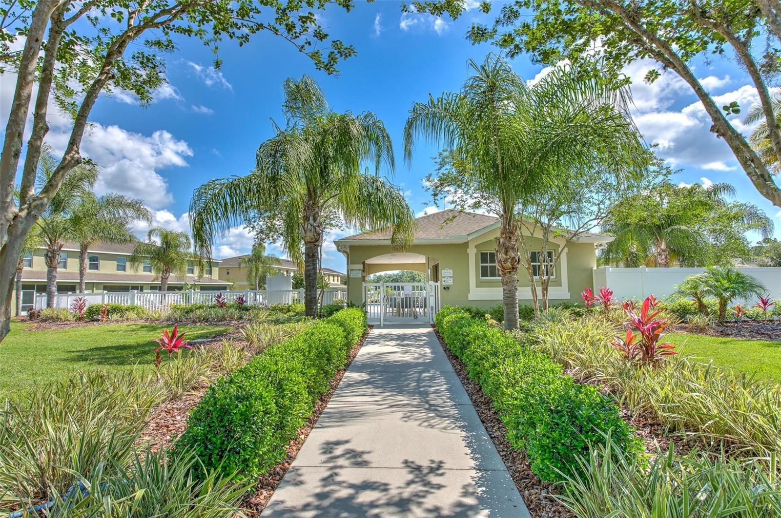 20424 NEEDLETREE DR, TAMPA, FL, 33647