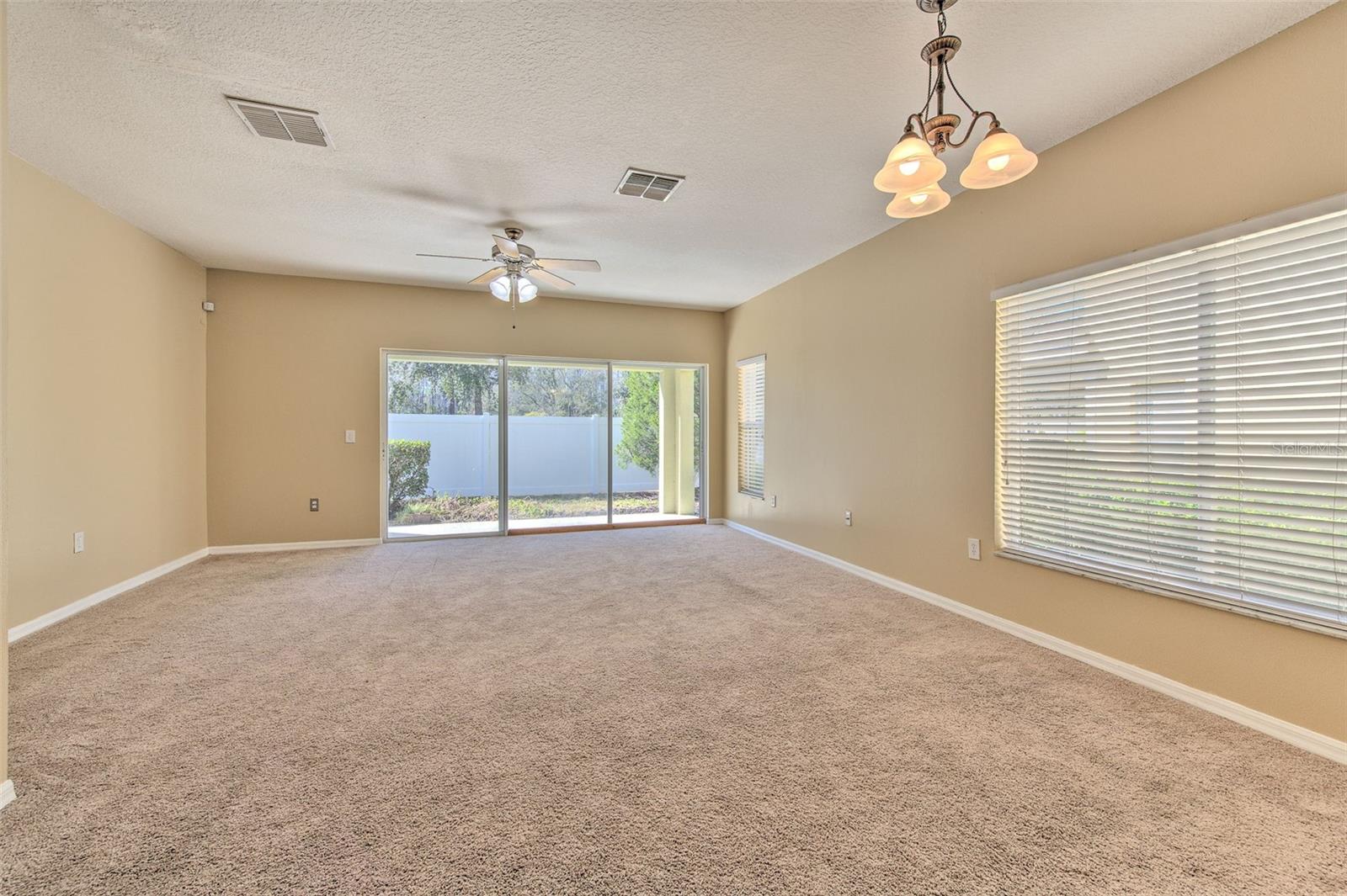 20424 NEEDLETREE DR, TAMPA, FL, 33647