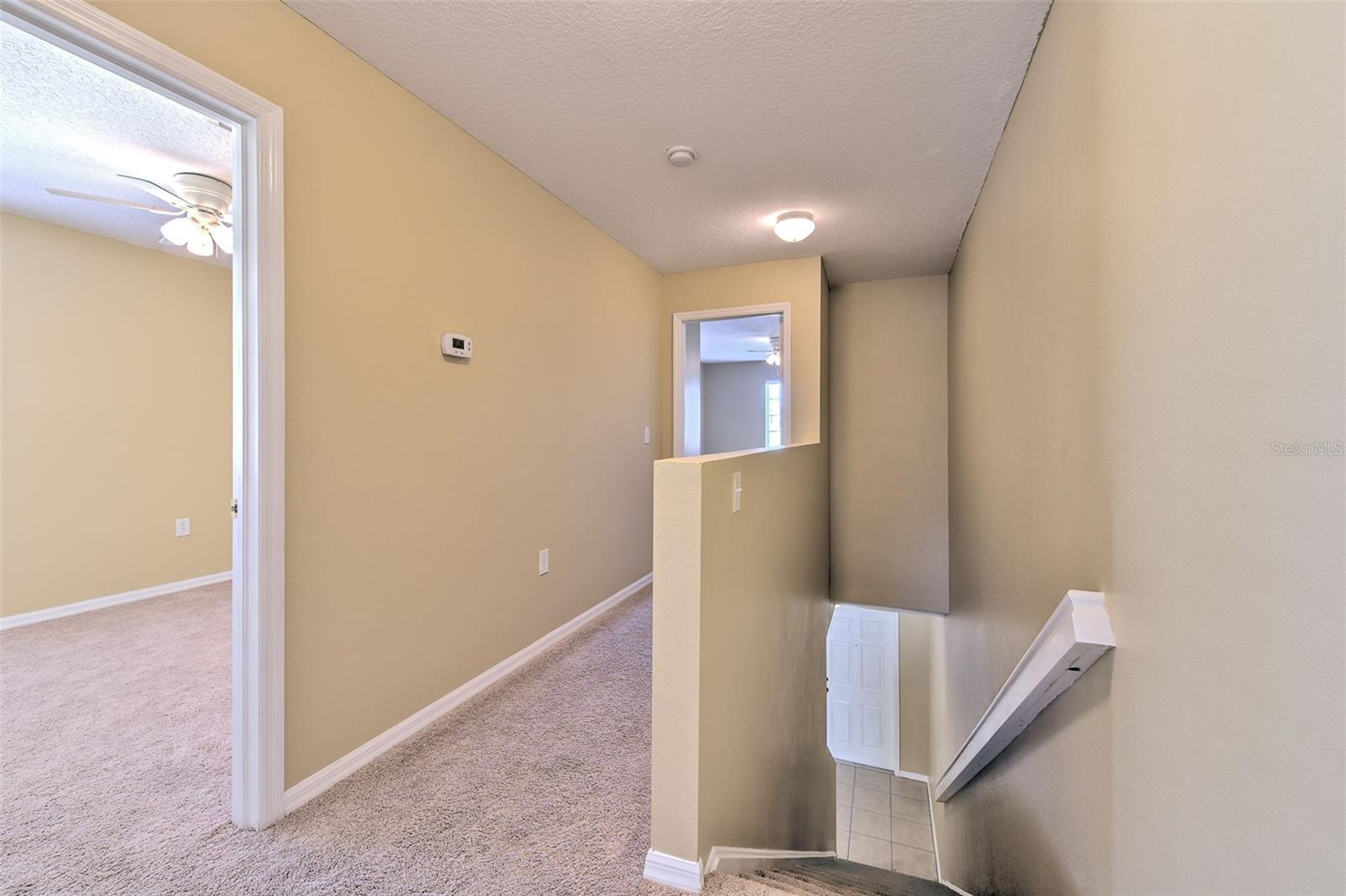 20424 NEEDLETREE DR, TAMPA, FL, 33647