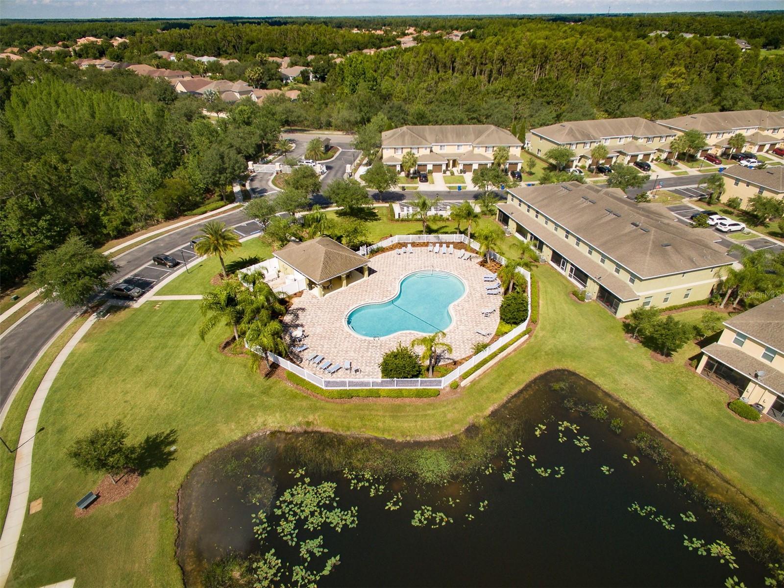 20424 NEEDLETREE DR, TAMPA, FL, 33647