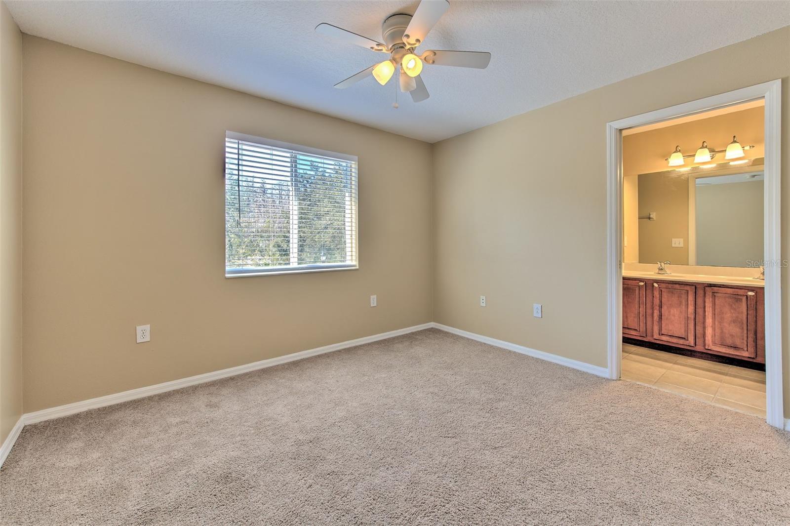 20424 NEEDLETREE DR, TAMPA, FL, 33647