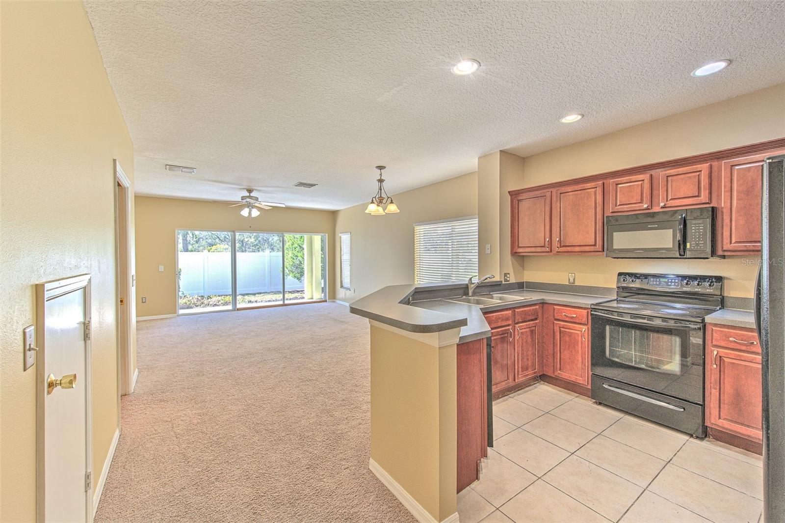 20424 NEEDLETREE DR, TAMPA, FL, 33647