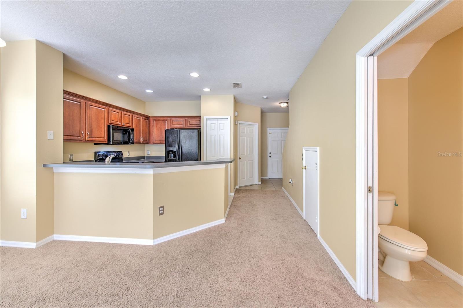 20424 NEEDLETREE DR, TAMPA, FL, 33647