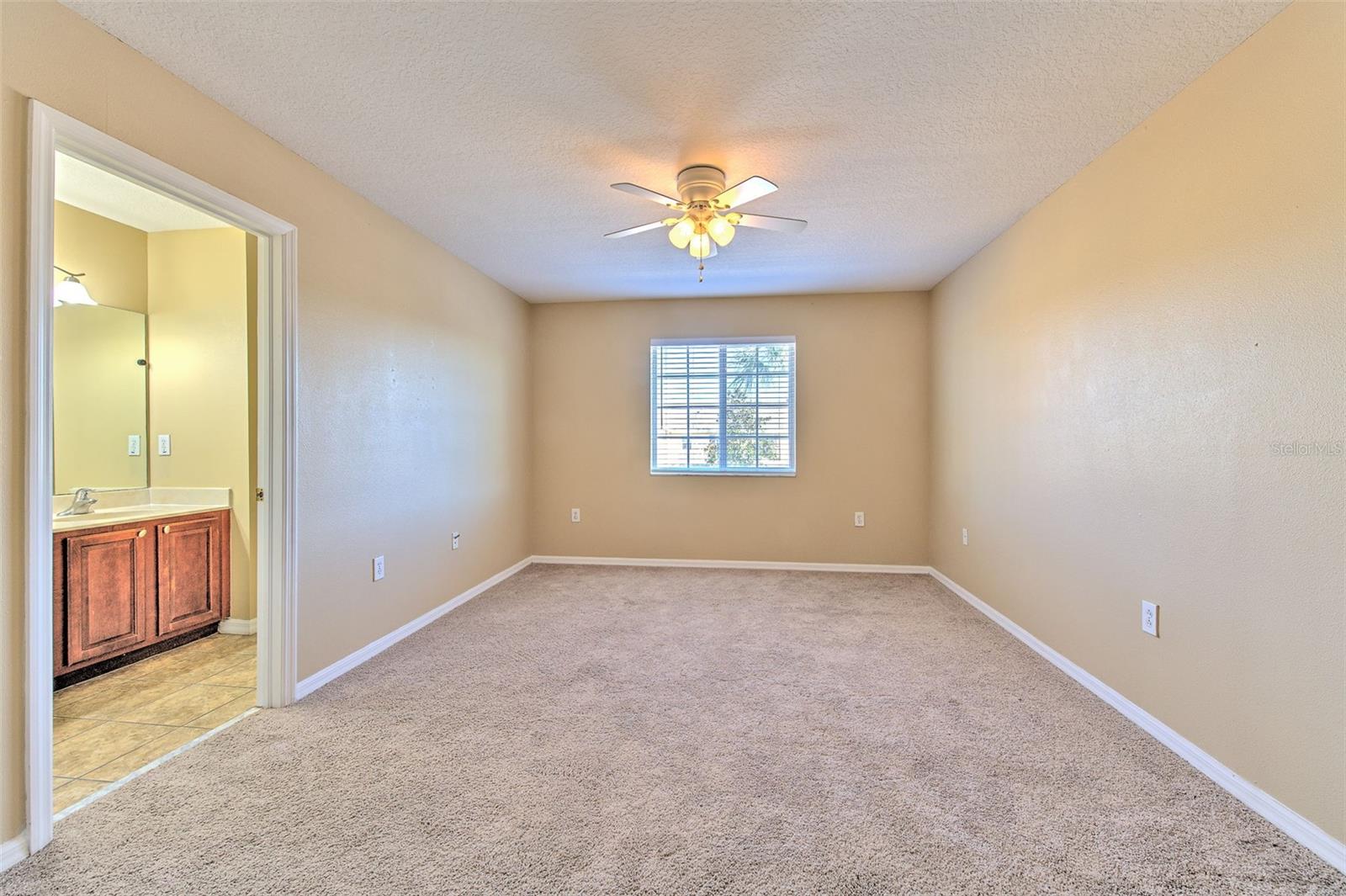 20424 NEEDLETREE DR, TAMPA, FL, 33647