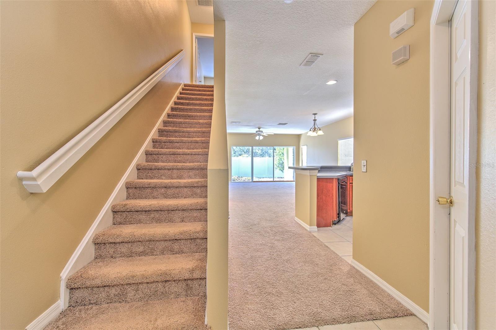 20424 NEEDLETREE DR, TAMPA, FL, 33647