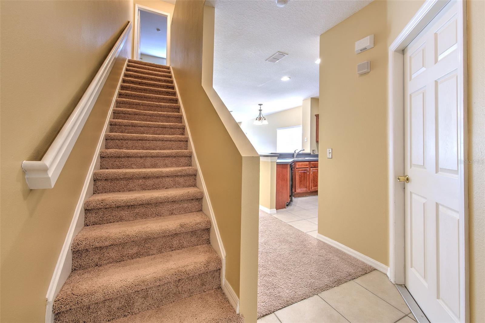 20424 NEEDLETREE DR, TAMPA, FL, 33647