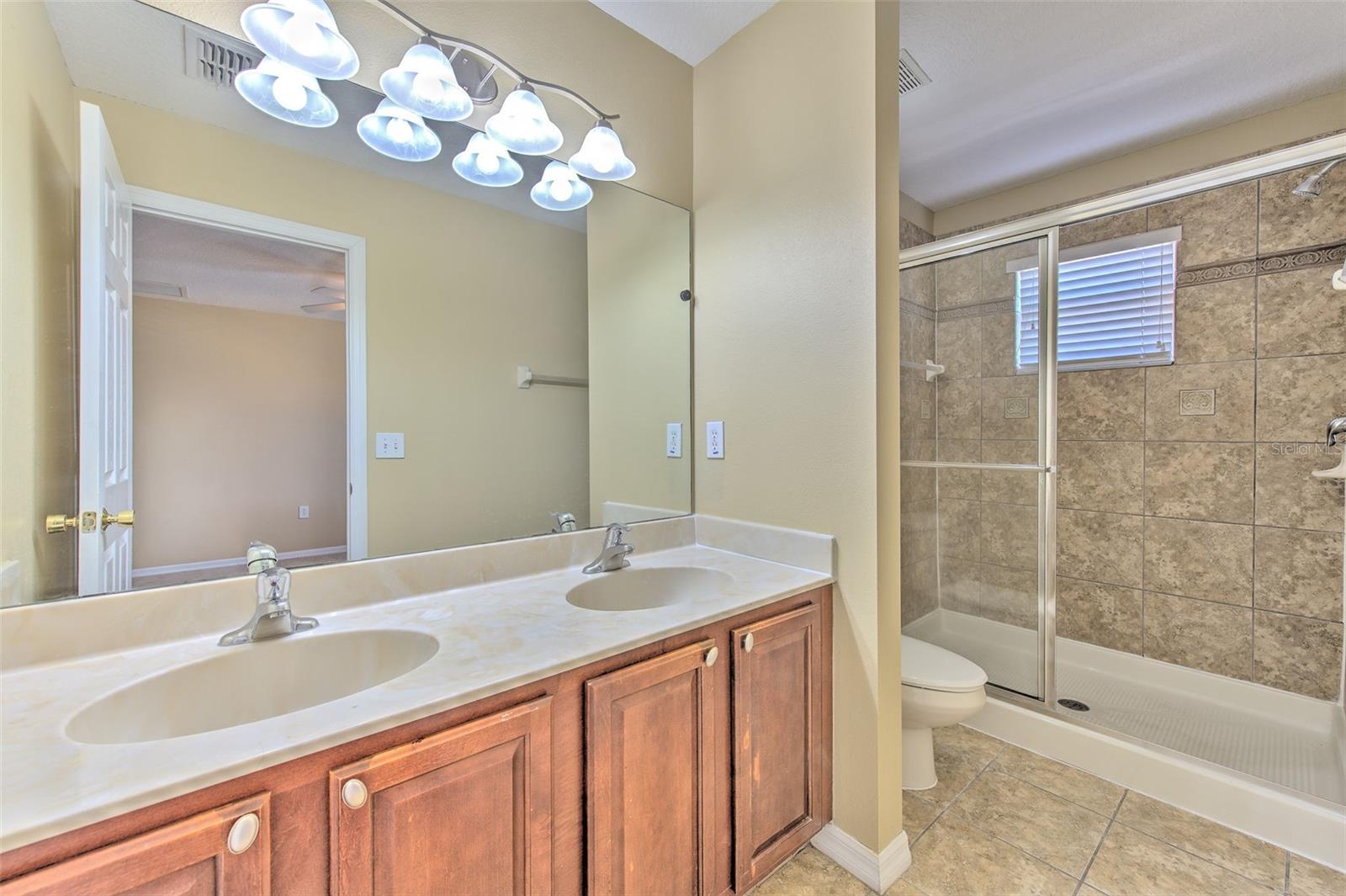 20424 NEEDLETREE DR, TAMPA, FL, 33647