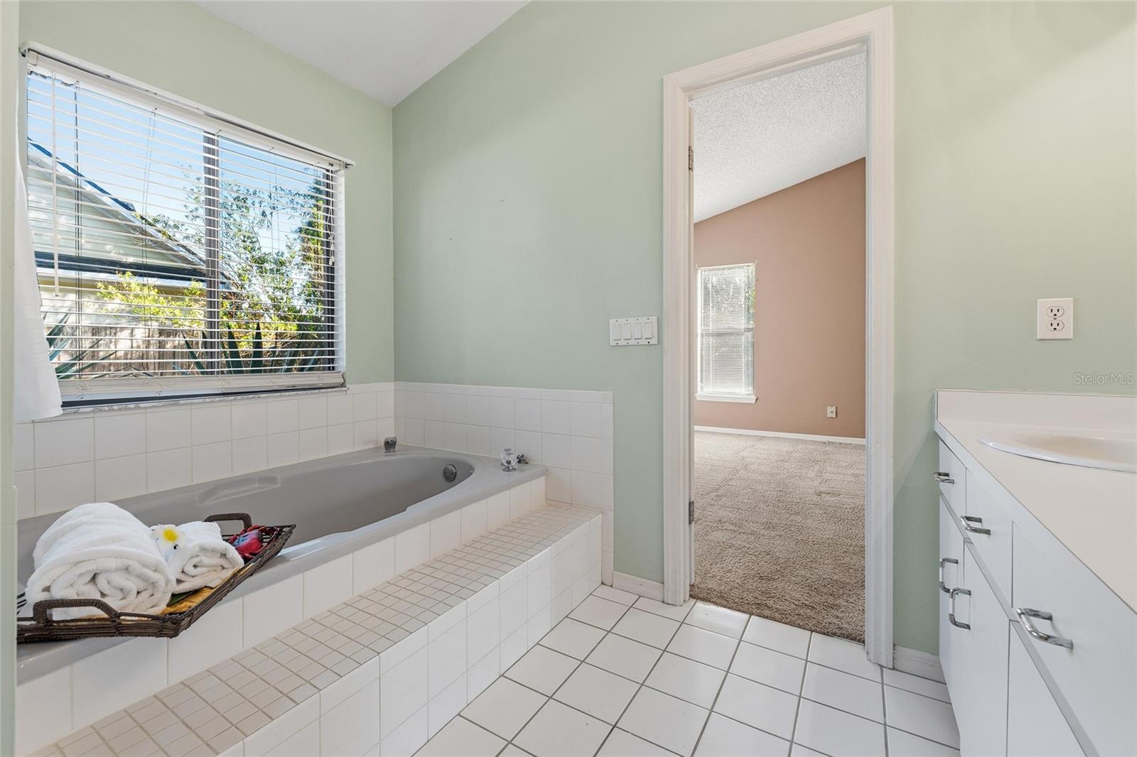 3179 MAPLE RUN, KISSIMMEE, FL, 34744