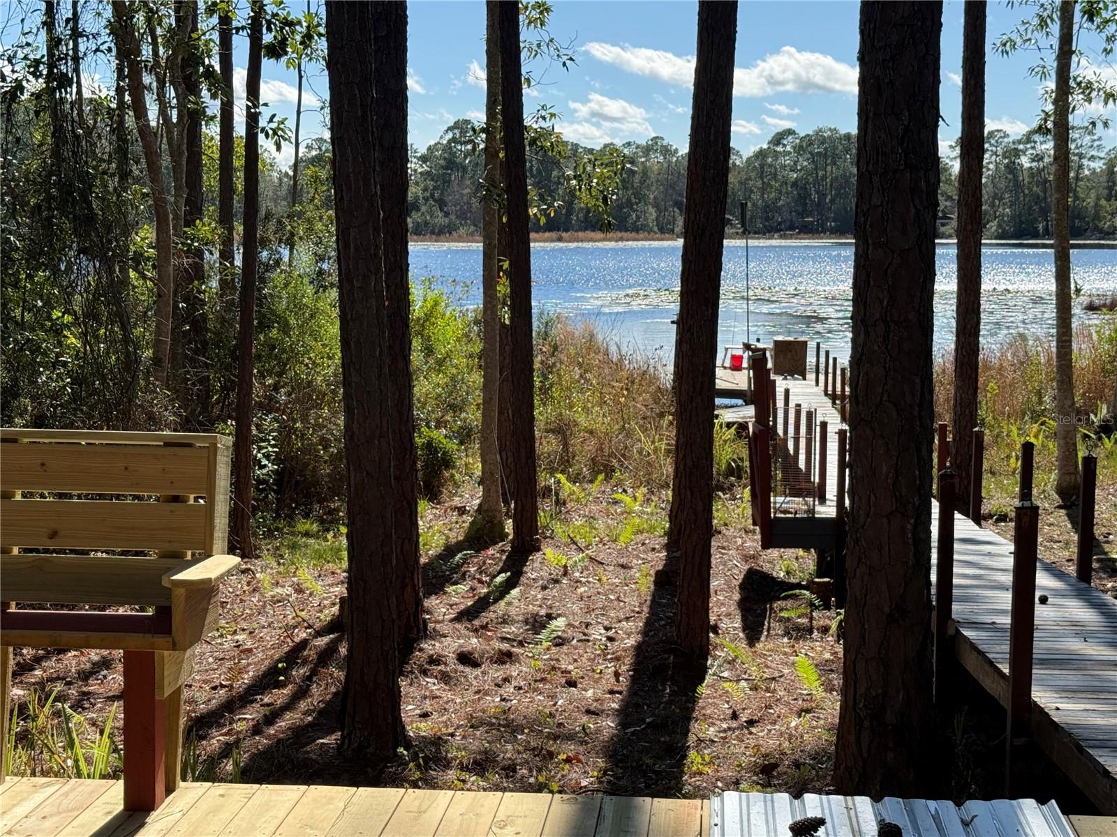 27834 VEVA AVE, PAISLEY, FL, 32767