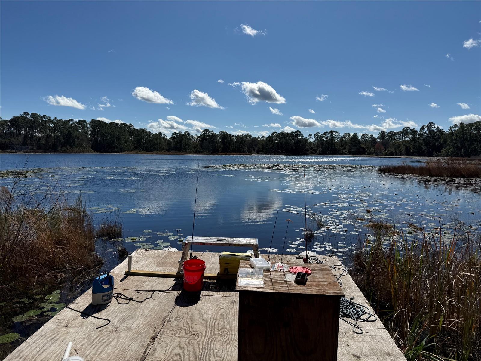 27834 VEVA AVE, PAISLEY, FL, 32767