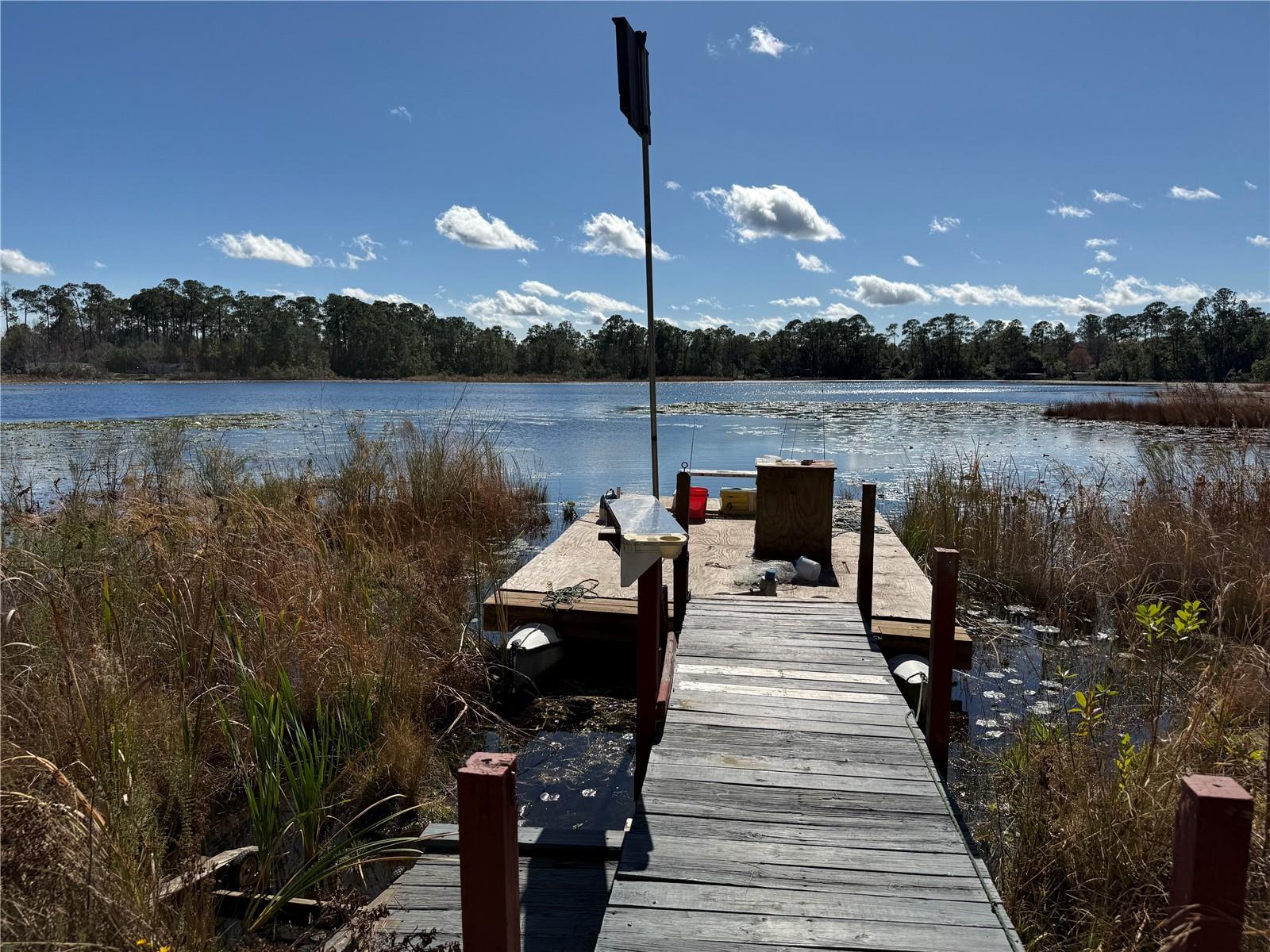 27834 VEVA AVE, PAISLEY, FL, 32767