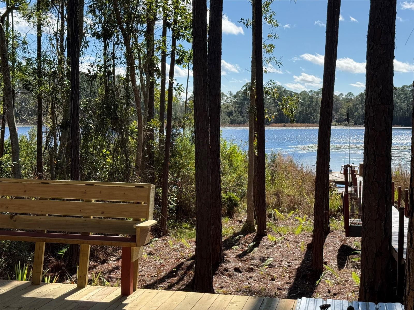 27834 VEVA AVE, PAISLEY, FL, 32767