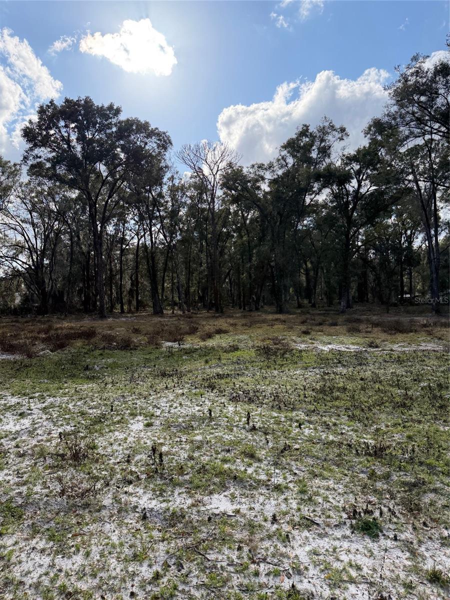 3780 SE 145TH ST, SUMMERFIELD, FL, 34491