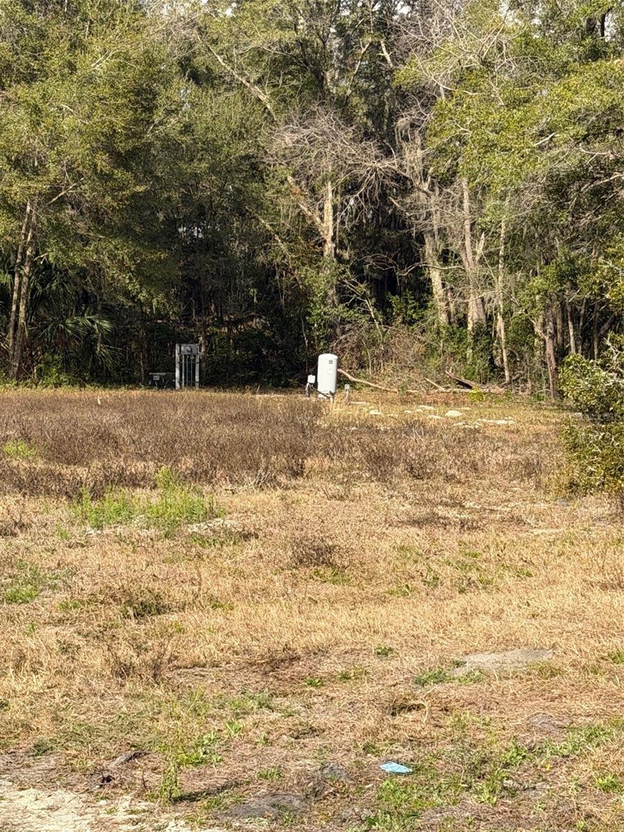 3780 SE 145TH ST, SUMMERFIELD, FL, 34491