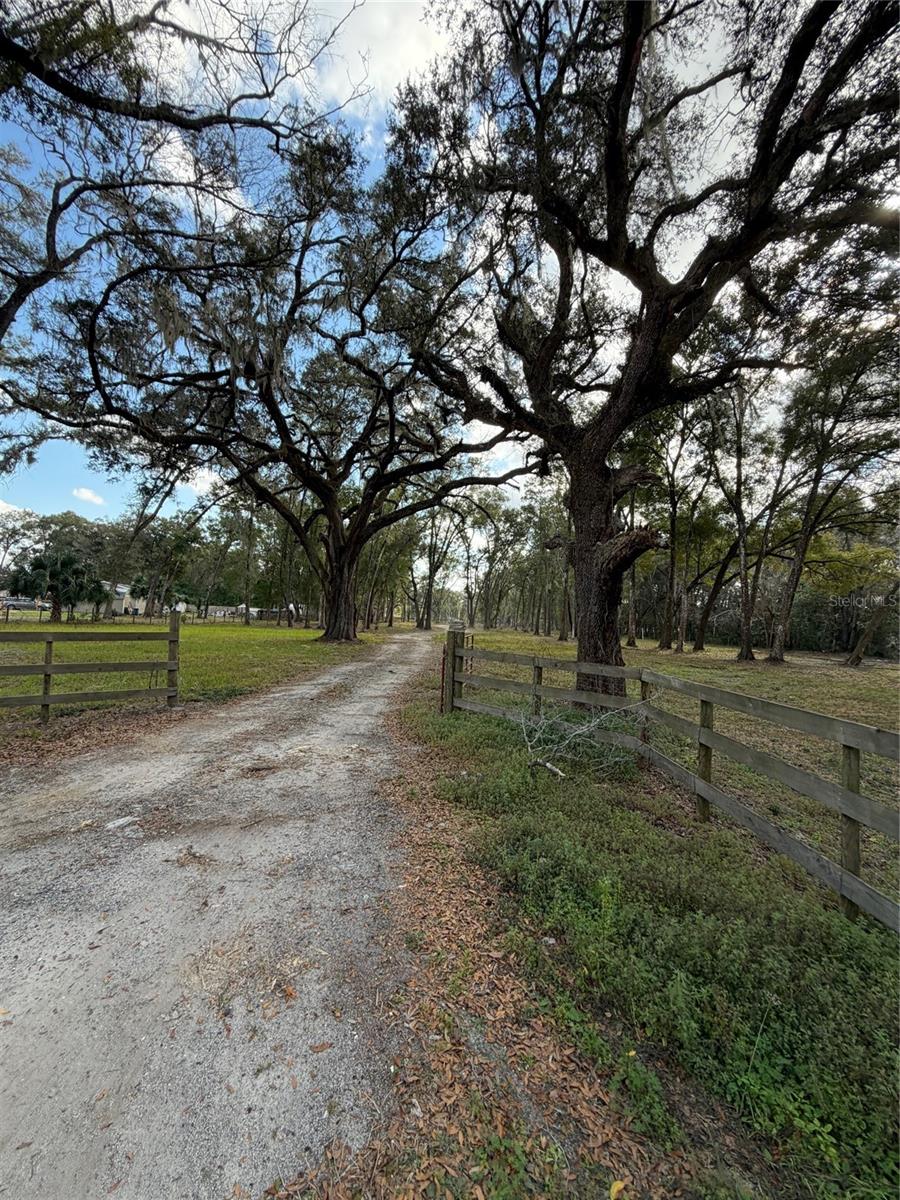 3780 SE 145TH ST, SUMMERFIELD, FL, 34491