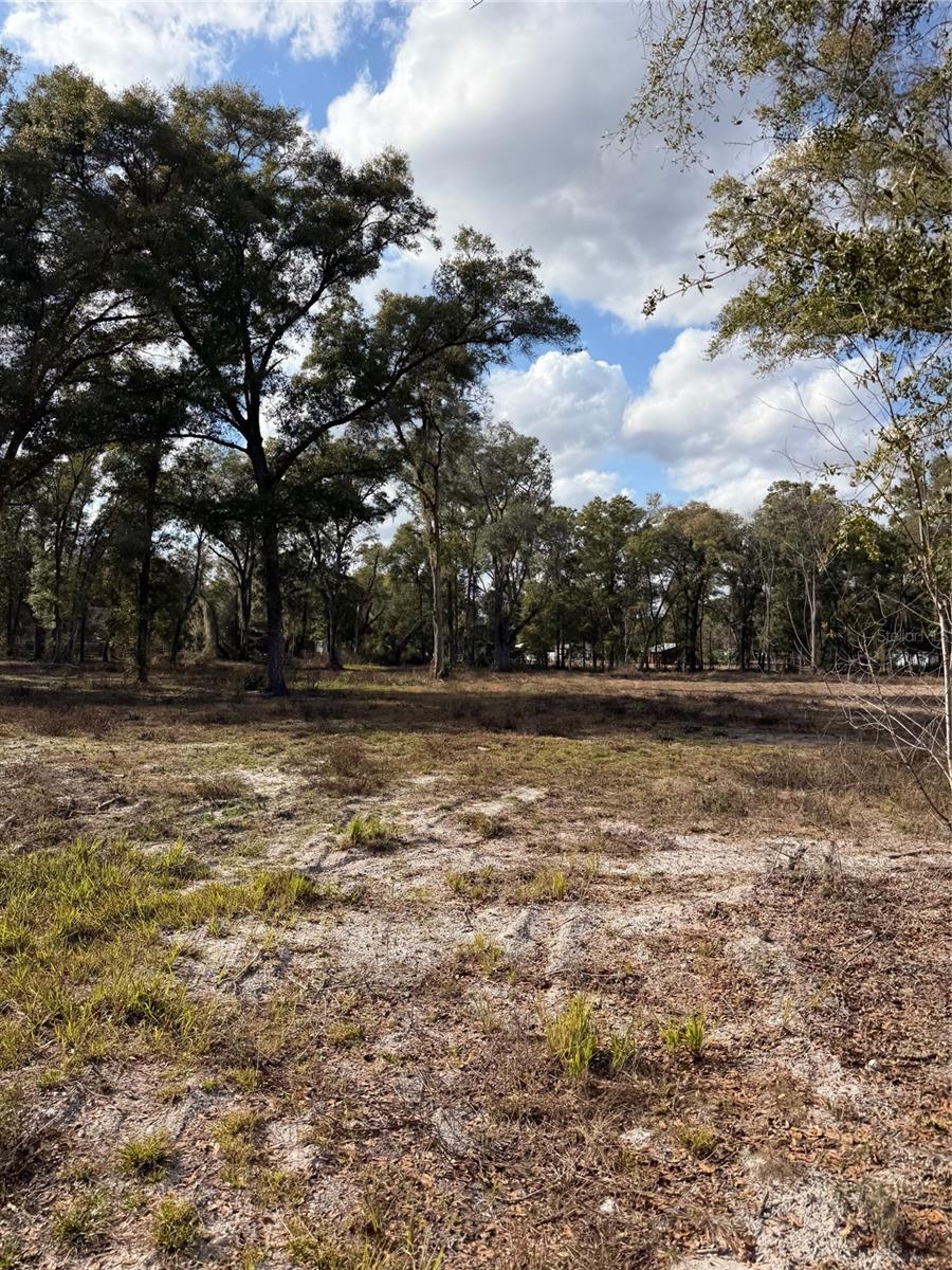 3780 SE 145TH ST, SUMMERFIELD, FL, 34491