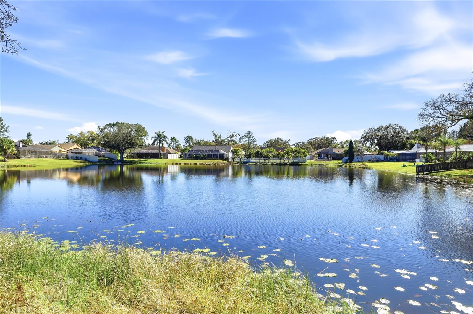 4024 DELLBROOK DR, TAMPA, FL, 33624