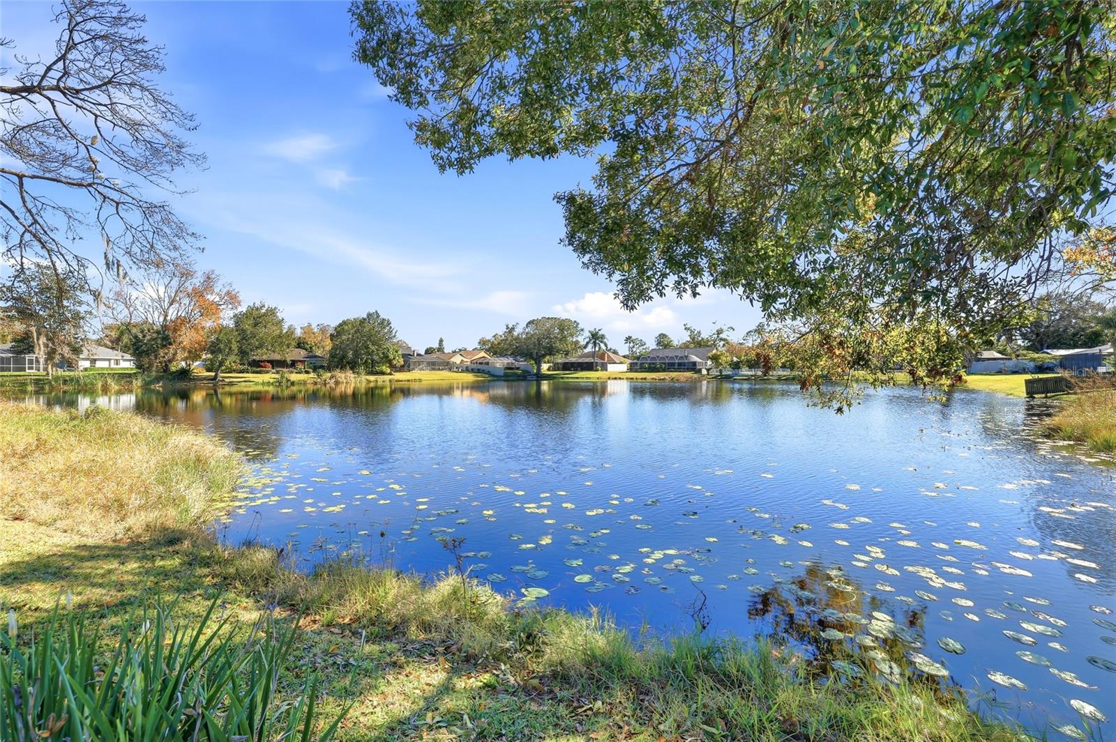 4024 DELLBROOK DR, TAMPA, FL, 33624