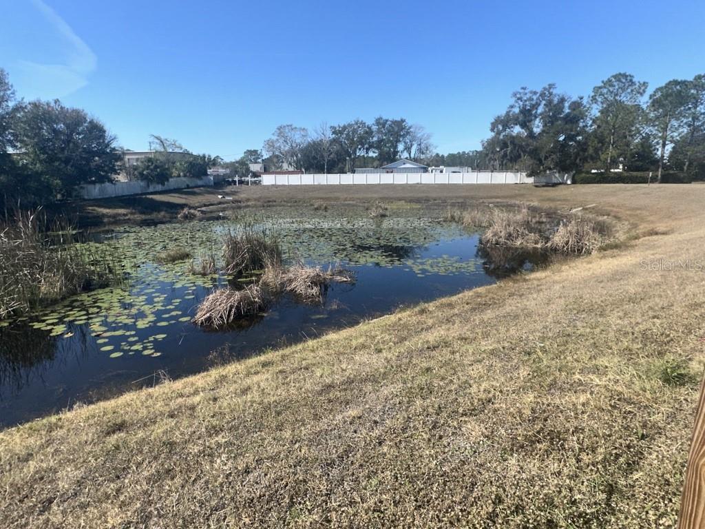 2141 ASHLEY LAKES DR, ODESSA, FL, 33556