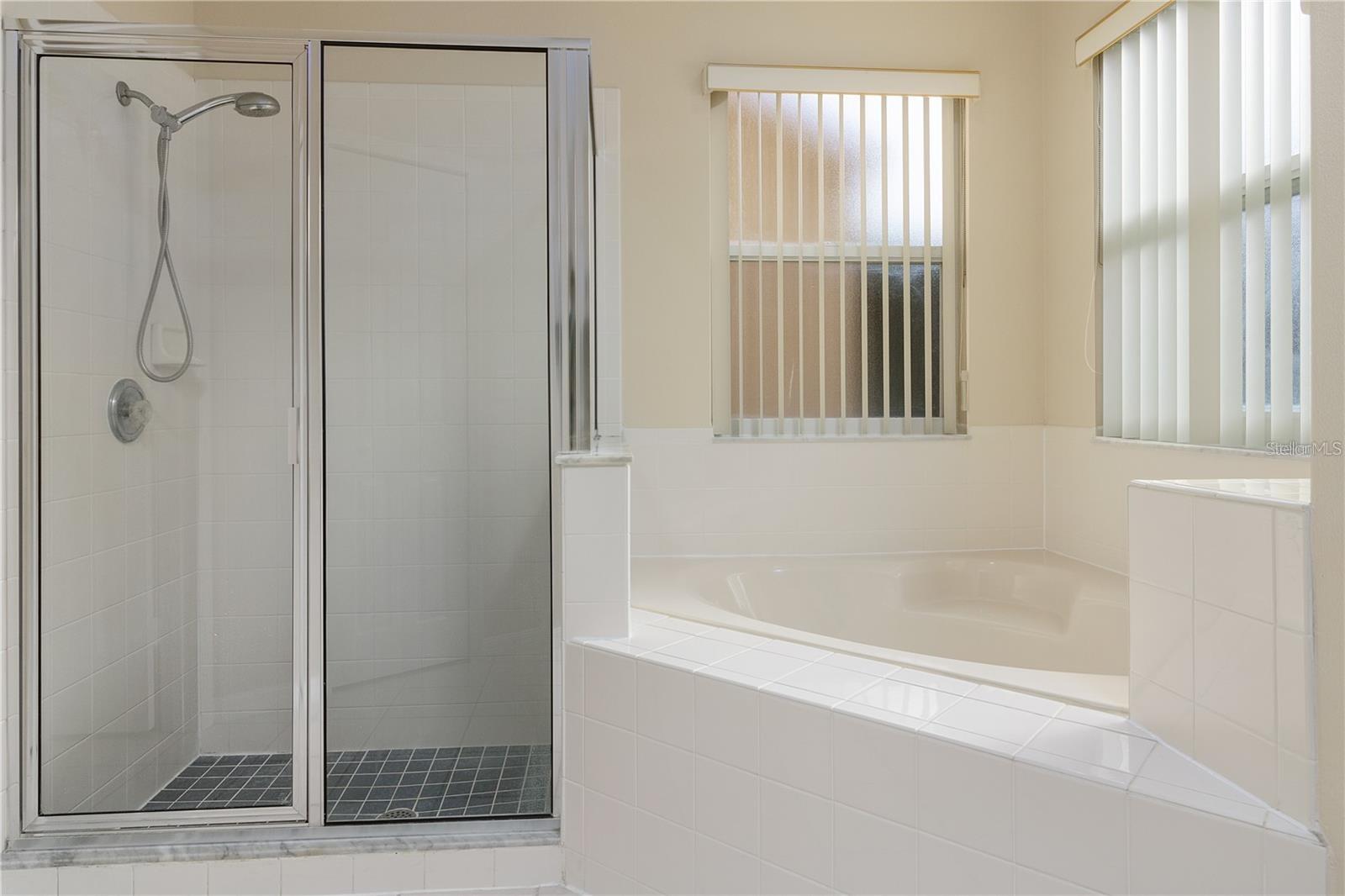 626 CORVINA DR, DAVENPORT, FL, 33897