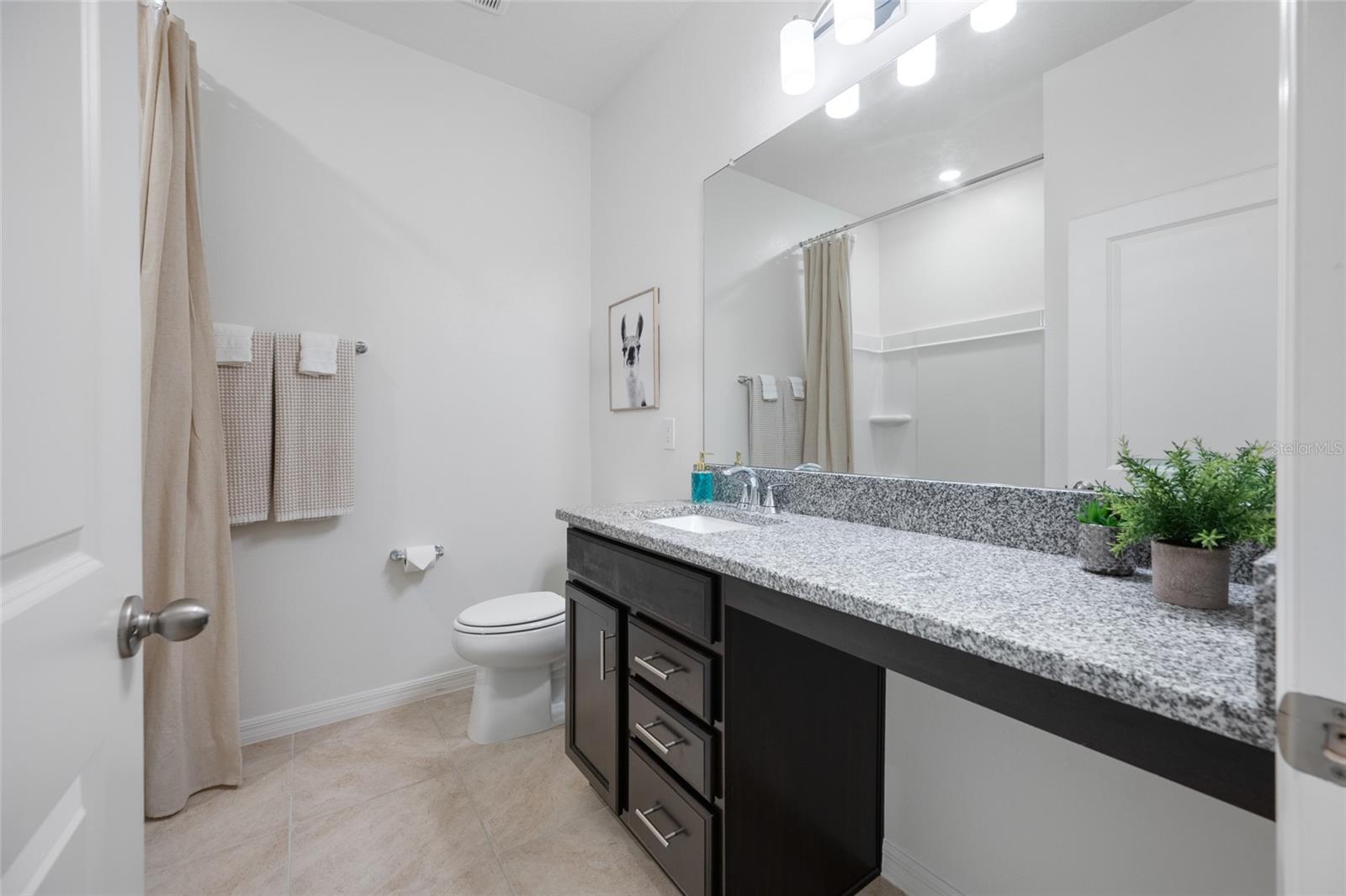 20076 AZUL MARBLE LOOP, LAND O LAKES, FL, 34638